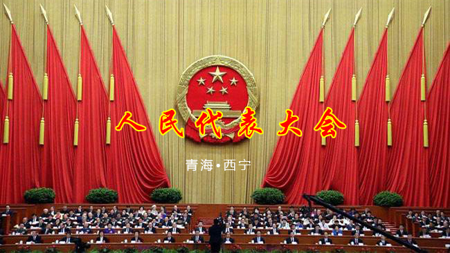 青海西寧地區人大網站建設